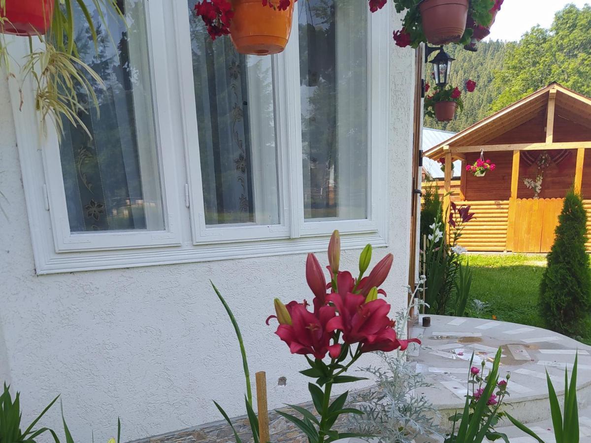 Casa Moldovita Luaran gambar